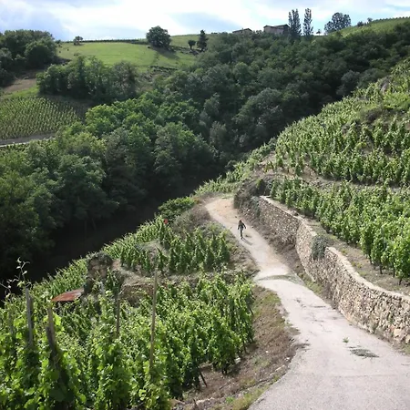 La Noyau Doux Vila Ampuis