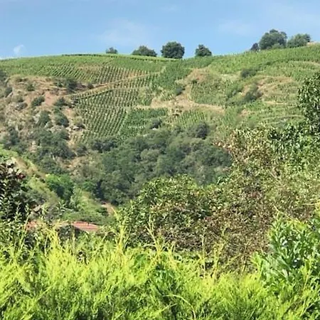 La Noyau Doux Villa